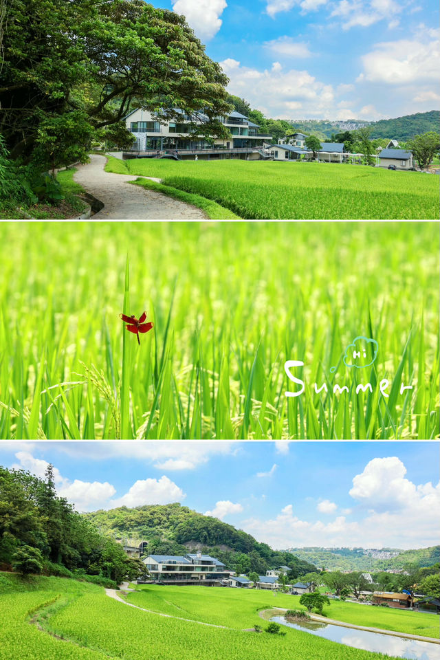 廣州地鐵可達我願意去無數次的世外桃源