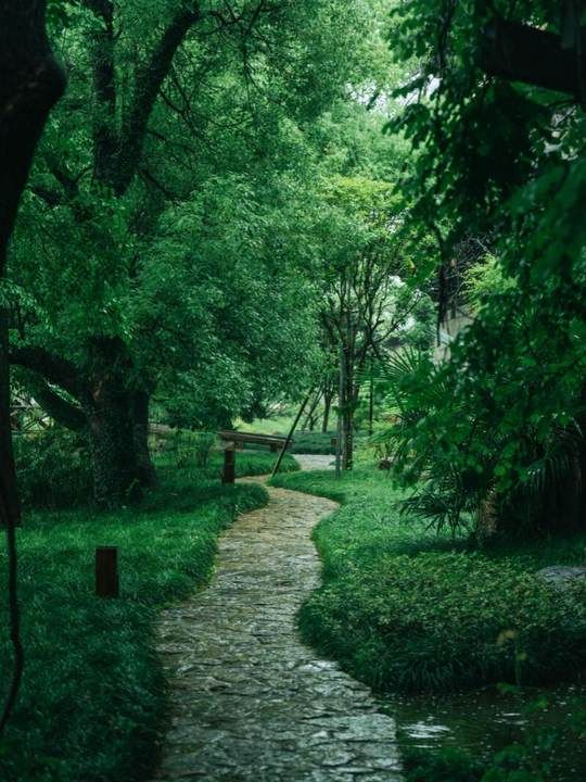 可惜你不來江南，不知道江南煙雨有多浪漫