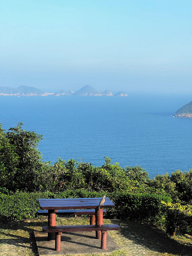 🌊香港行山必去！清水灣郊野公園隱藏版美景全攻略