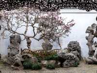 Suzhou’s 9 UNESCO Gardens Ranked for Timeless Charm 🎍