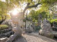 Suzhou’s 9 UNESCO Gardens Ranked for Timeless Charm 🎍