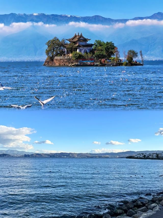 同愛嘅人去洱海啦，嗰度連風都係甜嘅。