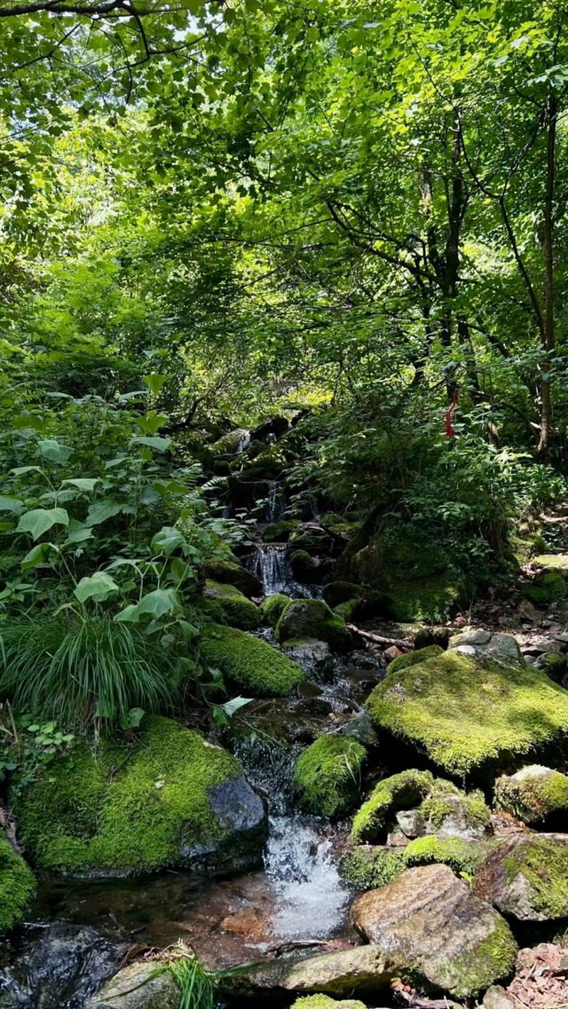 本溪｜淌石溝-東大崗-刺花溝