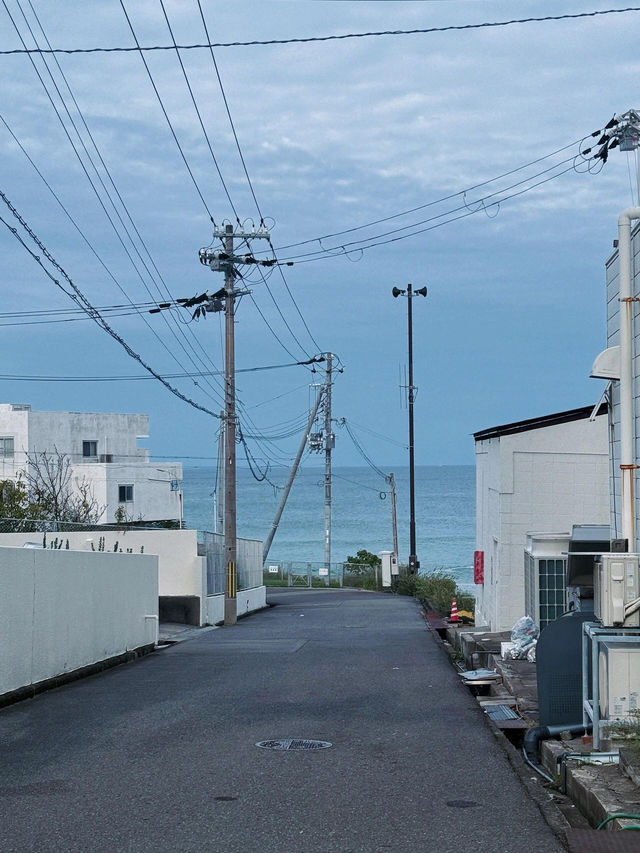 為了這家溫泉酒店，真的想再去一次和歌山白濱！🌊