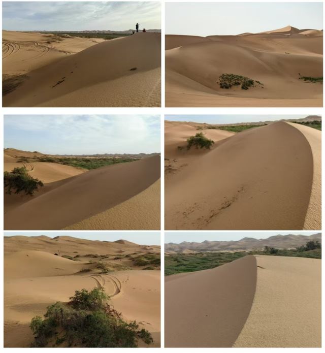 陝甘寧蒙經典遊丨騰格里沙漠穿越五湖a