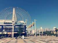 **【大阪必訪！海遊館沉浸式海洋奇遇全記錄】**  