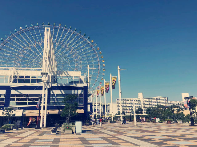 **【大阪必訪！海遊館沉浸式海洋奇遇全記錄】**  