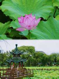 藥都消暑指南｜解鎖古城煙火