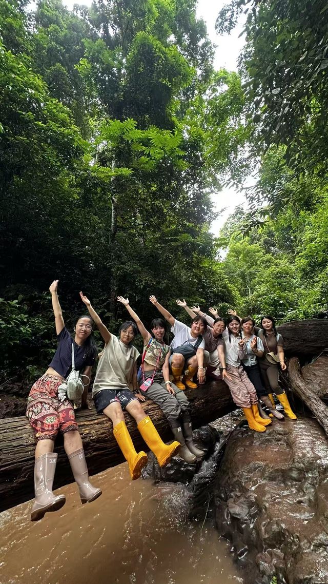 嚟西雙版納玩嘅第三日同朋友去基諾山雨林徒步啦～ 西雙版納基諾山雨林徒步 當時預訂嘅時候一直