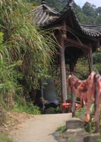 爬山同素齋麵愛好者狂喜！景德鎮冷水尖林間神仙麵館藏唔住啦