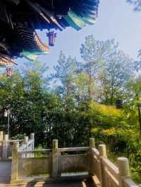 【宜陽森林公園暴走攻略】承包宜春人嘅「城市綠肺」，吸氧、遛娃、影靚相一網打盡！   一入園就被滿眼綠