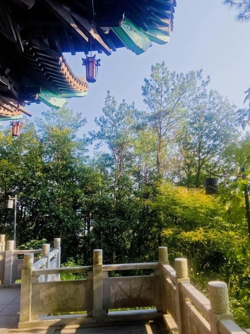 【宜陽森林公園暴走攻略】承包宜春人嘅「城市綠肺」，吸氧、遛娃、影靚相一網打盡！   一入園就被滿眼綠