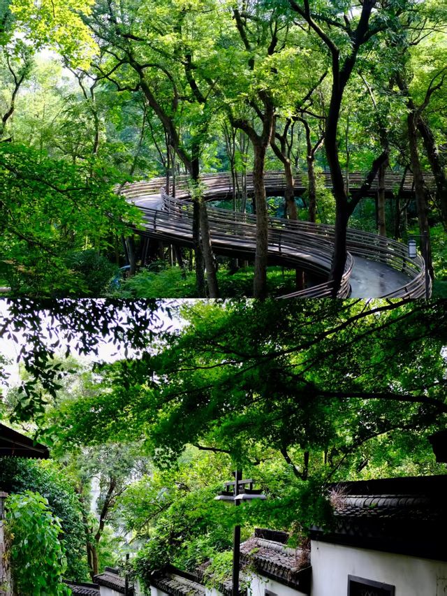 吳山景區Citywalk人少免費，影出森系大片