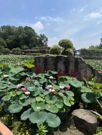 盛夏時節，一定要去一趟廣州蓮花山啊