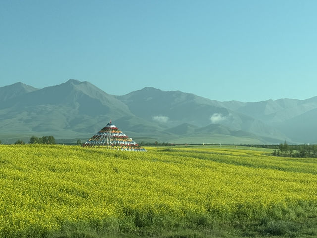 西寧4日遊