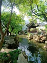 Show foreigners around Shanghai