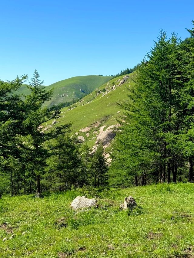 北京3小時直達！20℃抹茶色清涼秘境藏不住了！