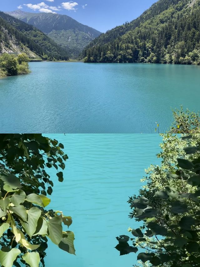 九寨溝已回，亂讀中。。。
