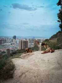 Lanzhou, China: Silk Road Crossroads and Mountain Majesty