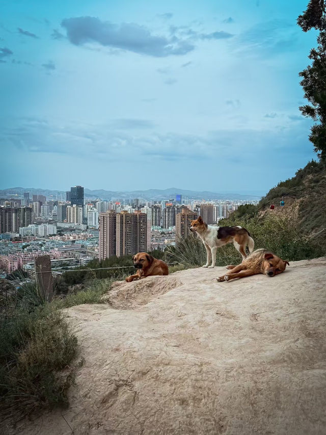 Lanzhou, China: Silk Road Crossroads and Mountain Majesty