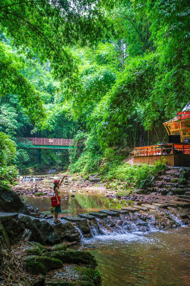 以為青城山已經夠涼快，直到我來到呢度……成都出發1h