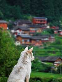 白雲白岩寨：600年布依隱世秘境