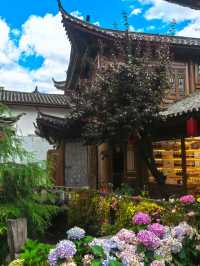 雲南