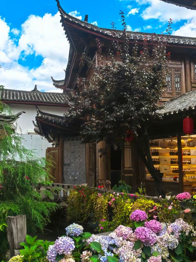雲南