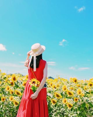 Ono Hyakka Satsu | Breathtaking Golden Beauty