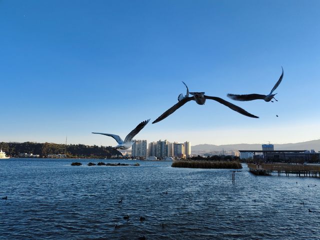 洱海邊遊玩 洱海邊遊玩