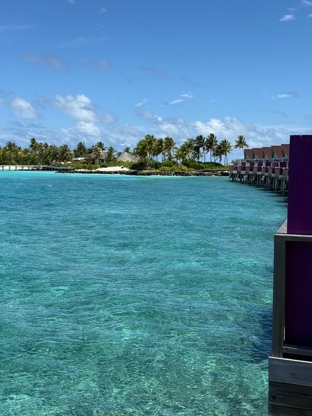 Amazing Island Escape with Friendly Team and Delicious Meals