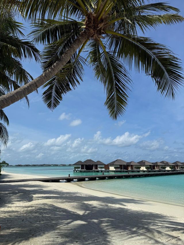 Unforgettable Stay at Villa Nautica