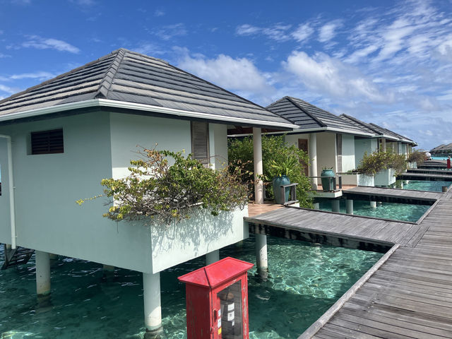 A Memorable Family Stay at a Unique Resort
