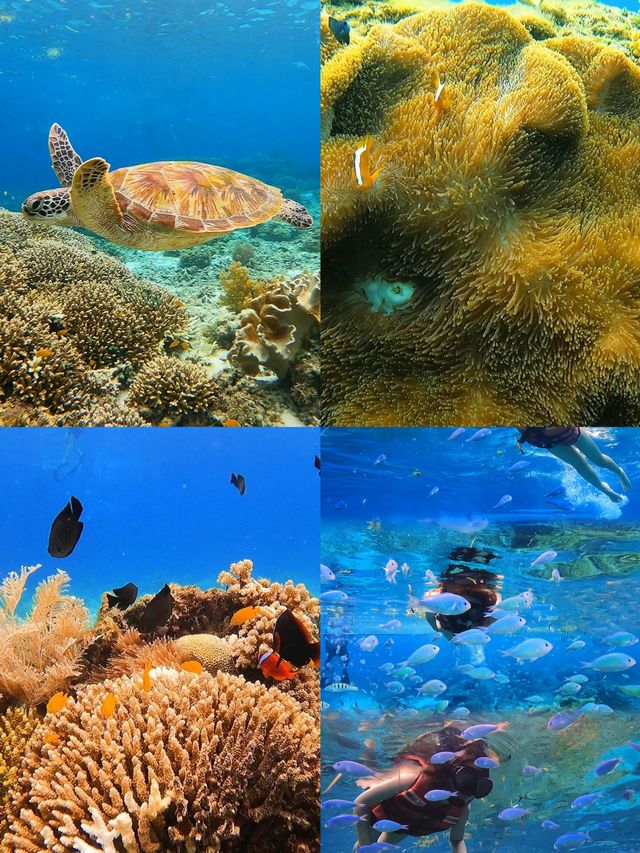 一生一定要去一次的海島