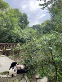 ULTIMATE CHINA 15 DAYS TRIP : PANDAS, ADRENALINE AND KARAOKE BARS