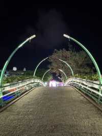 Beautiful lights around Dameisha 