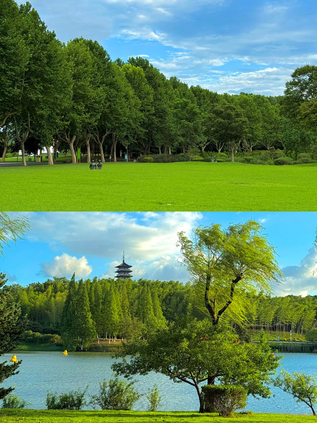 今年為止，我帶娃去過最驚喜的城市出現了!
