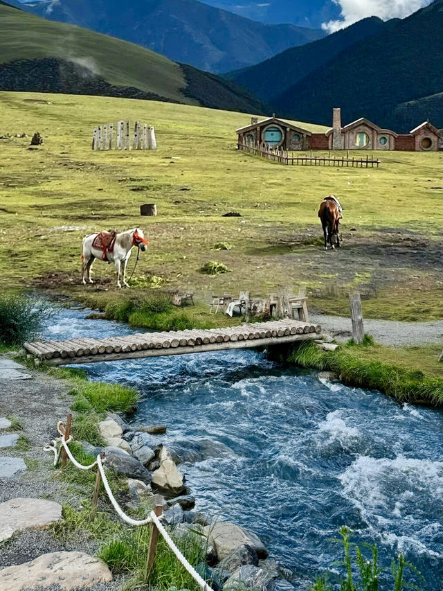 川西秋日秘境|9-10月甲根壩,闖入梵高筆下的金黃世界 川西秋日秘境|9-10月甲根壩,闖入梵高筆下的金黃世界