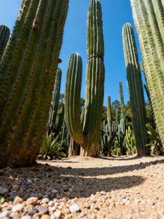 Mile 3-Day 2-Night Intensive Guide to Avoid 90% of Tourists + 100% Photo Success Rate 