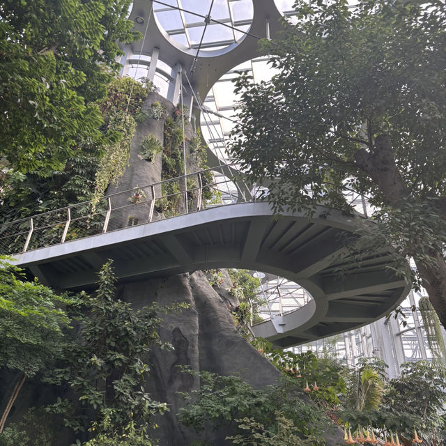 【上海】上海温室花園🪴｜写真映え×自然癒し×屋内観光にぴったり！