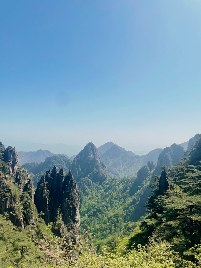 Scenic Peak Views of Huangshan ⛰️  