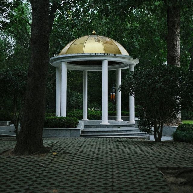 🌸 Fuxing Park: Flowers in Bloom & Qi Gong in Motion