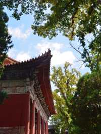 泰安岱廟：千年帝王祭祀地，一磚一瓦皆史詩！