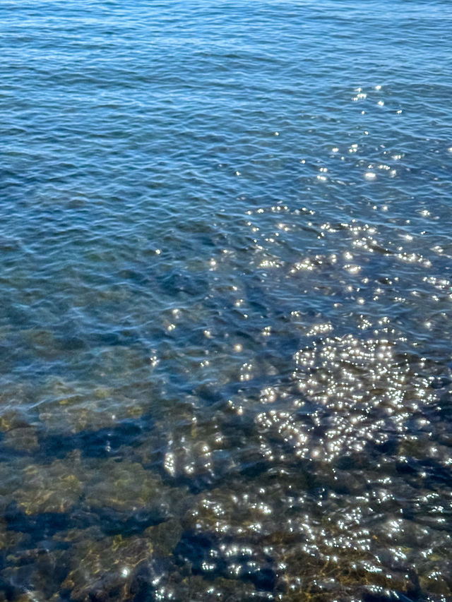 多倫多遛娃寶地｜湖心島親子遊超讚