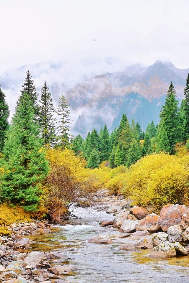 接下來的川西黑水縣！堪稱秋季旅行天花板…