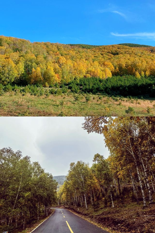 闖入秋天的油畫！木蘭圍場五道溝風景區