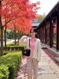 北京秋日打卡指南這9個地方美到窒息