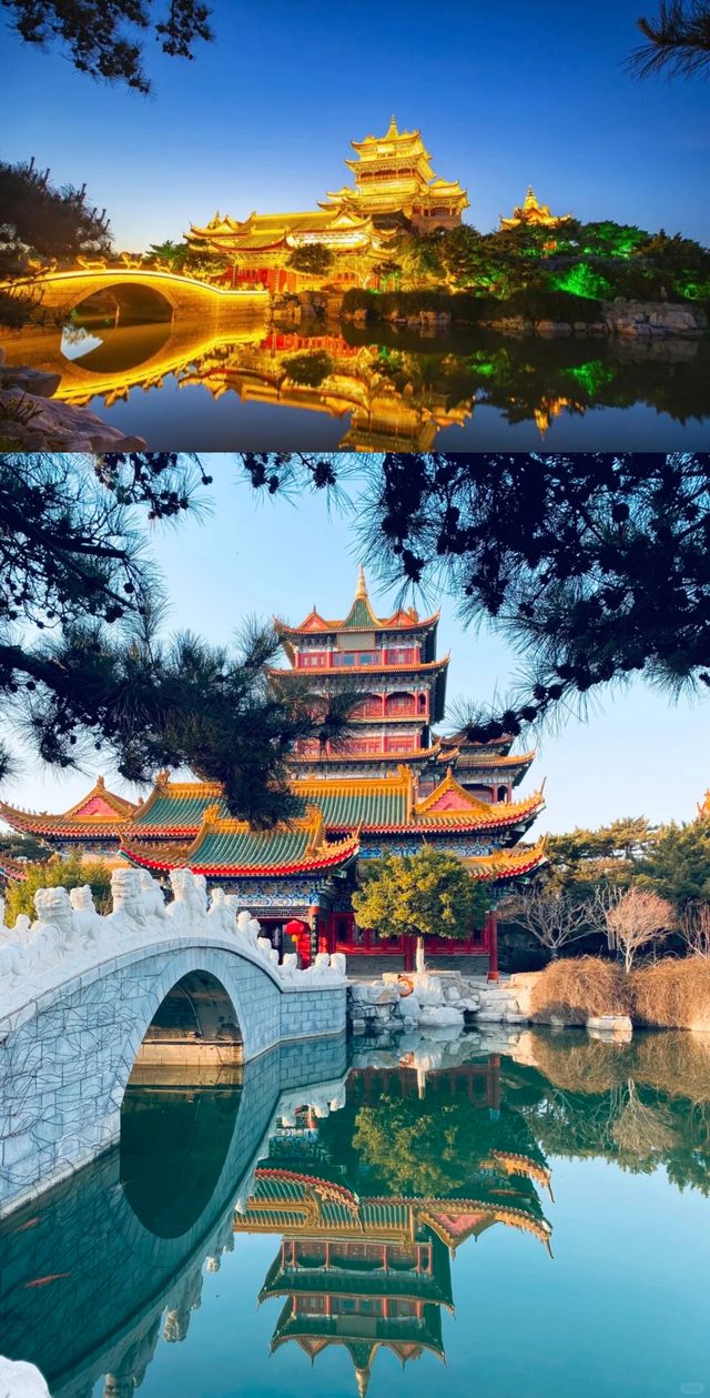仙境海岸賞鷗寶地