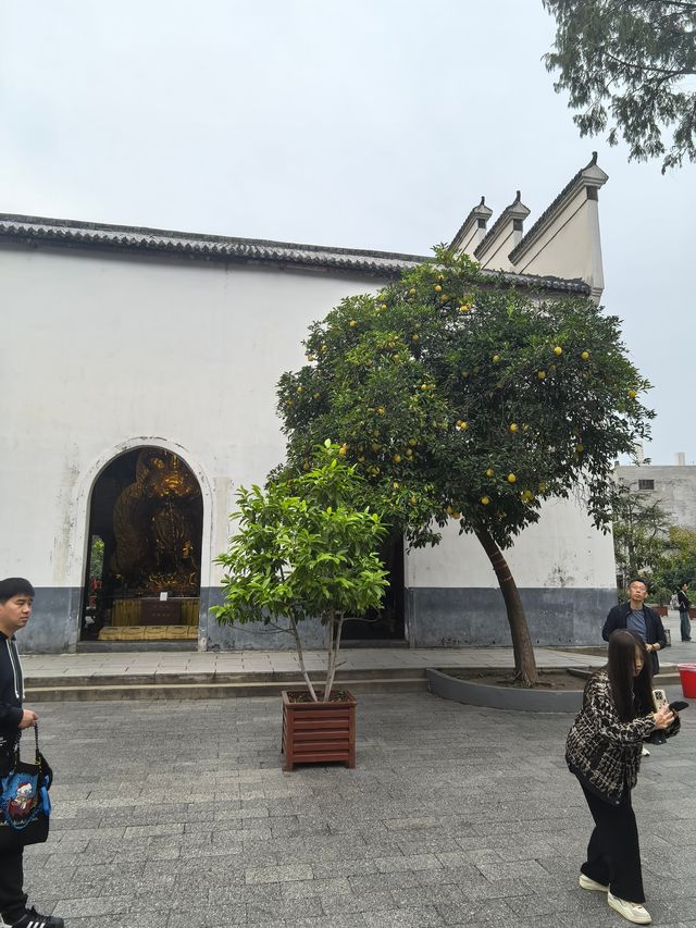 參觀武漢古德寺! 參觀武漢古德寺!