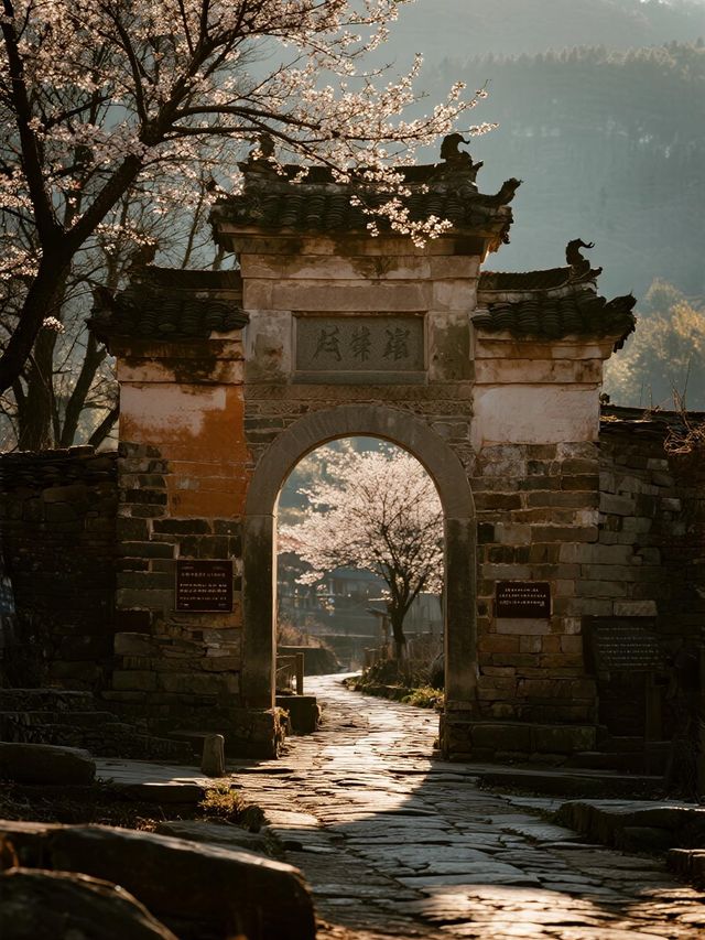 粵北秋遊天花板!古道徒步+稻田小火車,娃迷上姓氏考古之旅 粵北秋遊天花板!古道徒步+稻田小火車,娃迷上姓氏考古之旅
